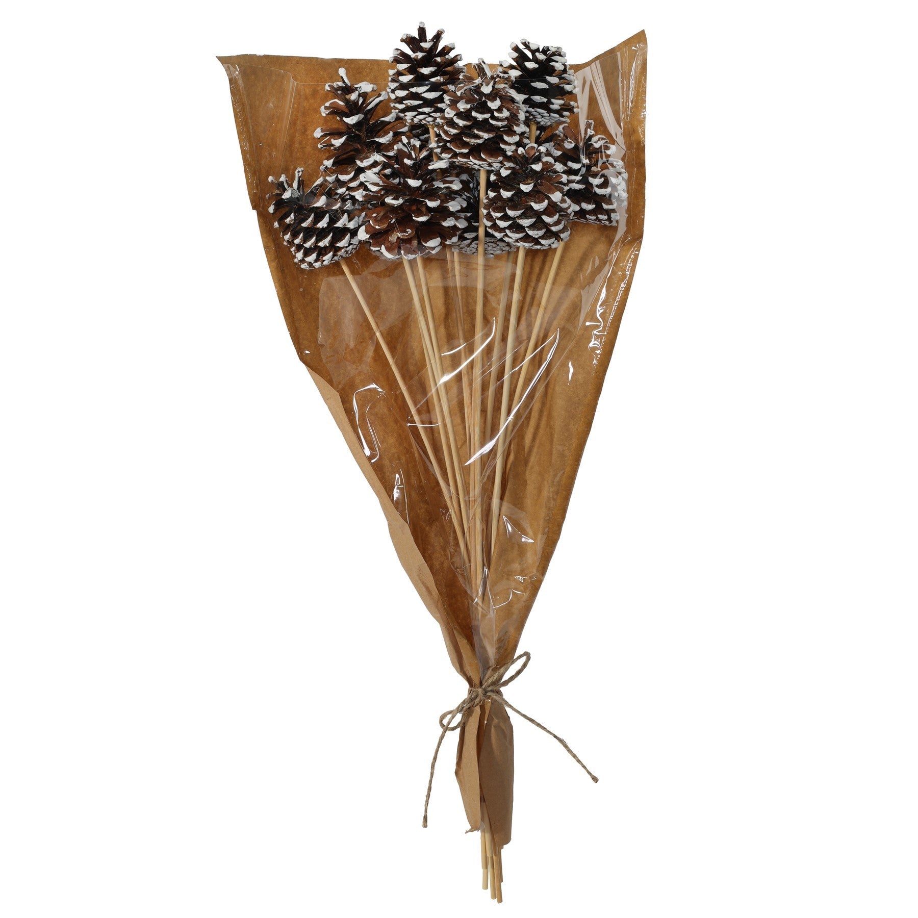 View White Tipped Pine Cone Pick 50cm Pack of 12 information