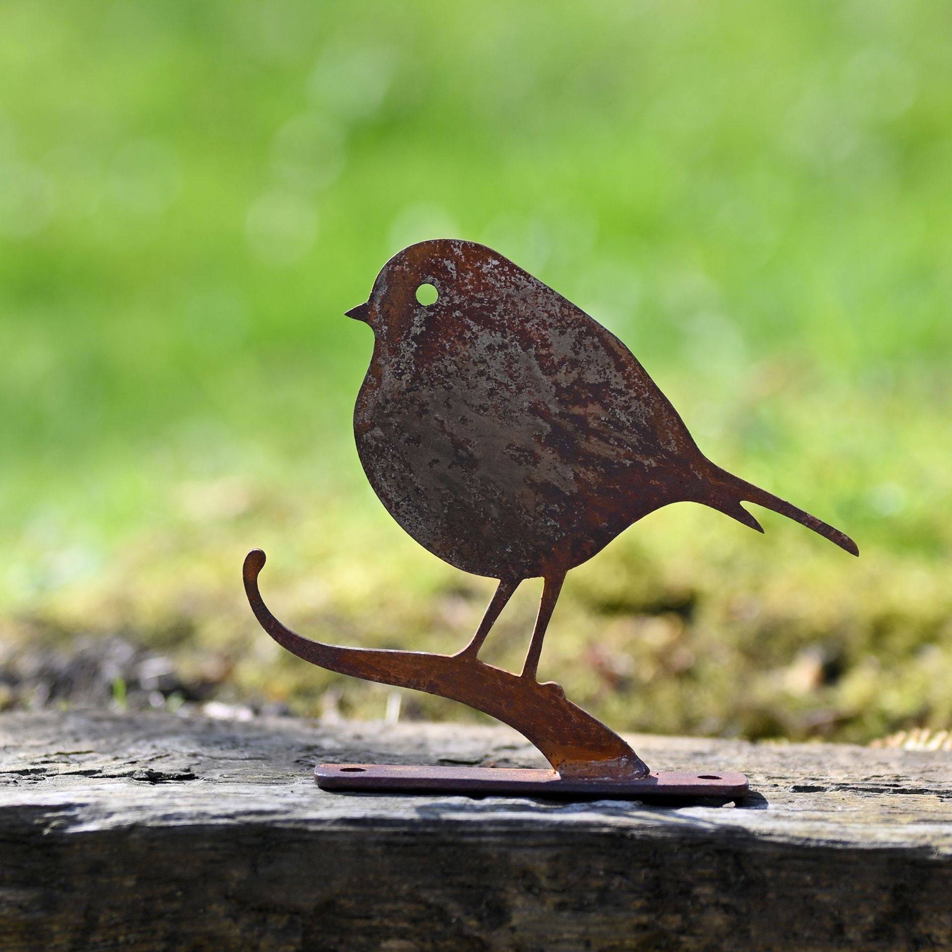 View Nature Silhouette Robin On Branch information