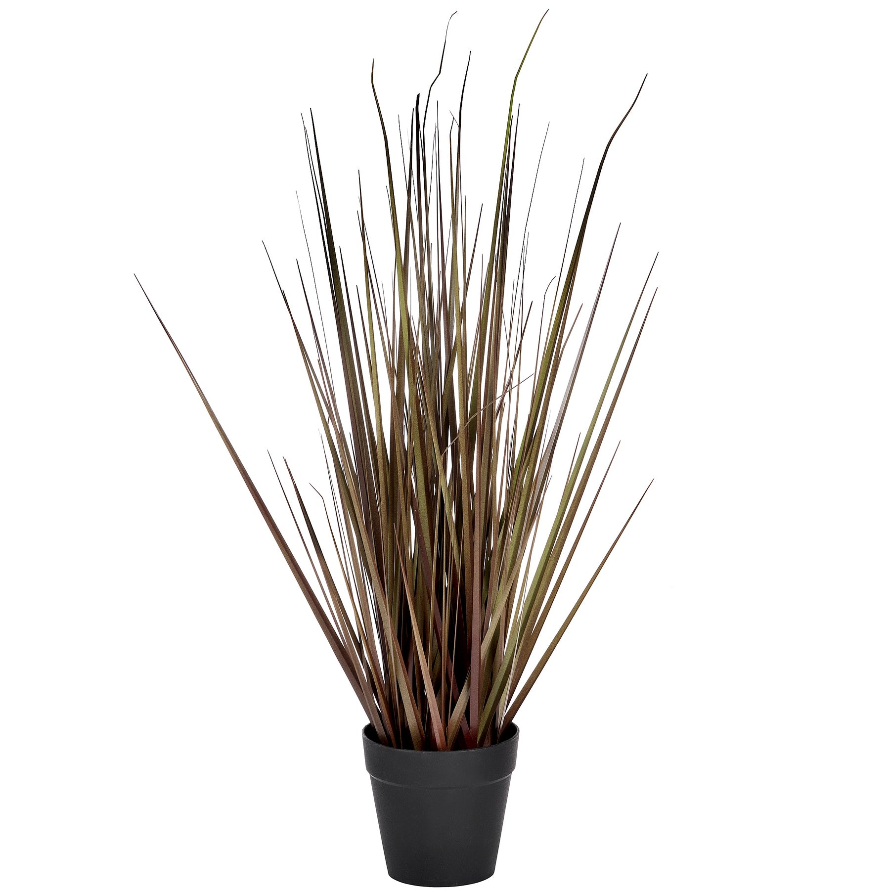 View Spray Grass 21 Inch information