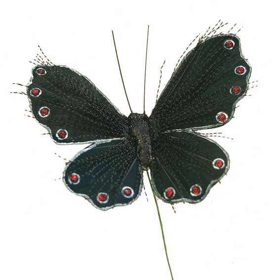 View Black Glitter Spray Butterfly information