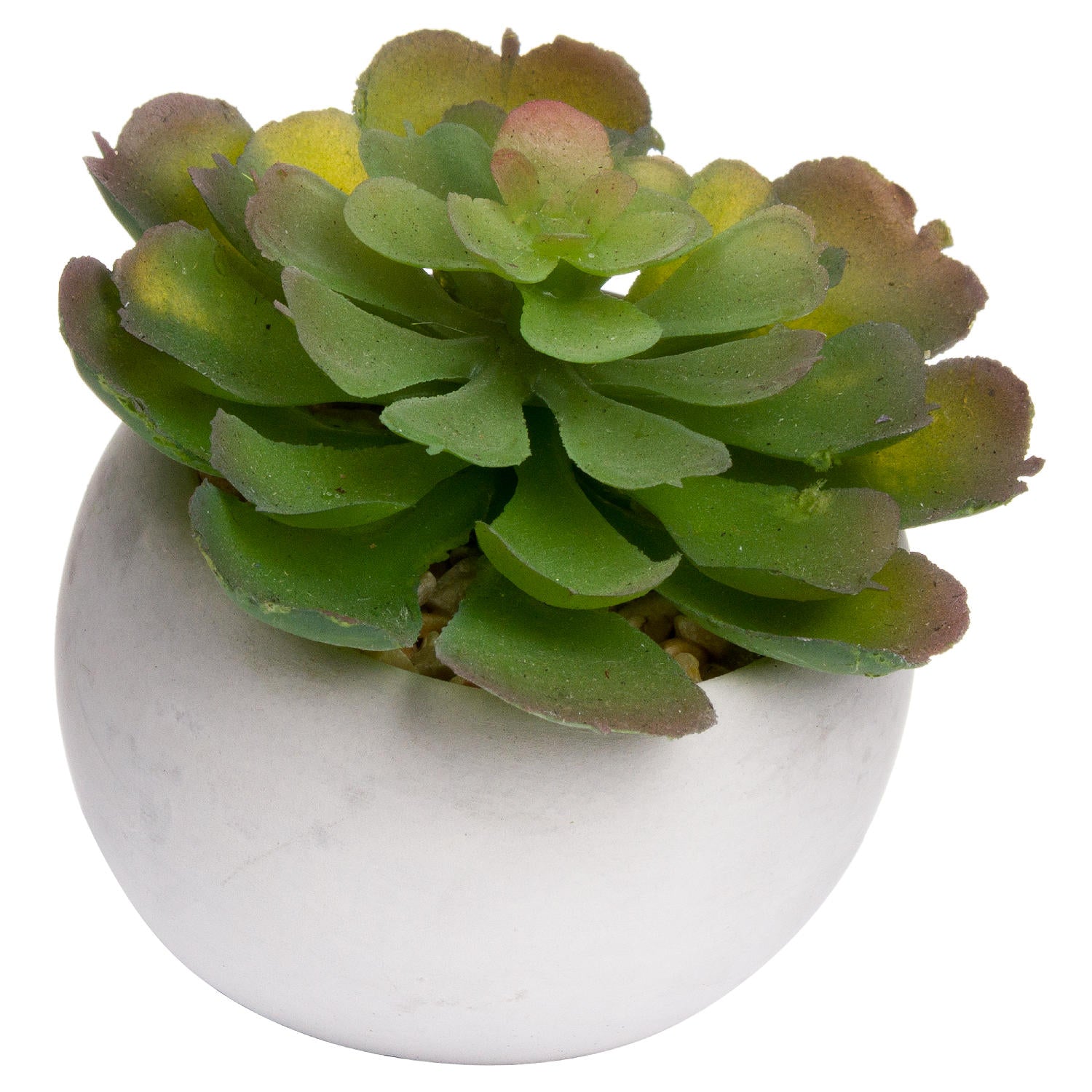 View Miniature Lola Succulent In Cement Pot information