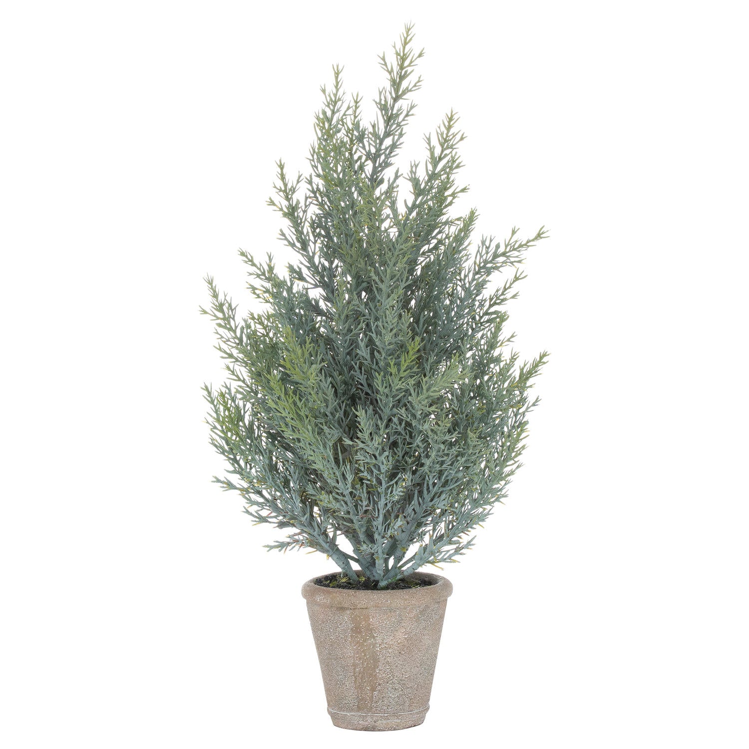 View Squat Christmas Fir Tree In Stone Pot information