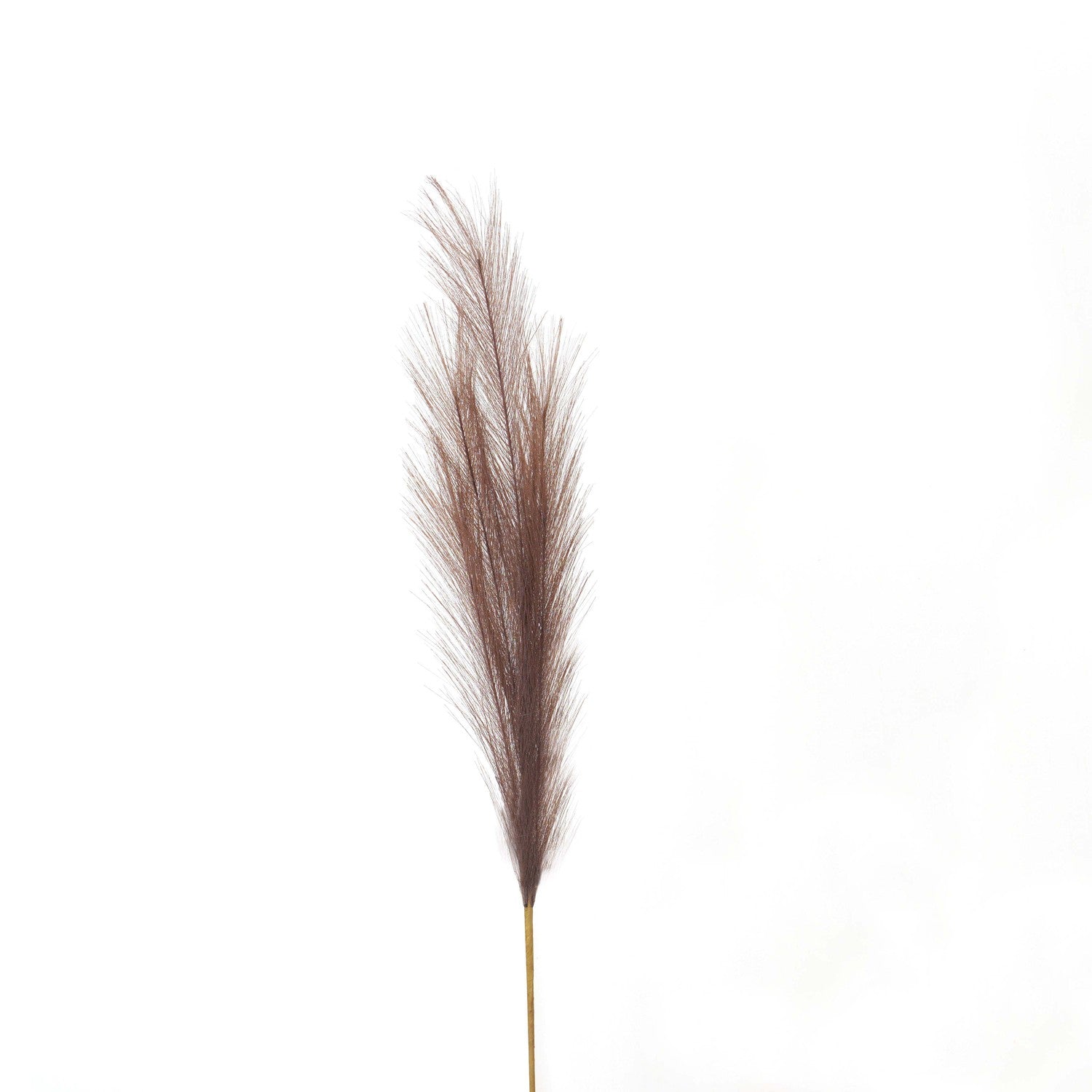 View Taupe Faux Pampas Grass Stem information