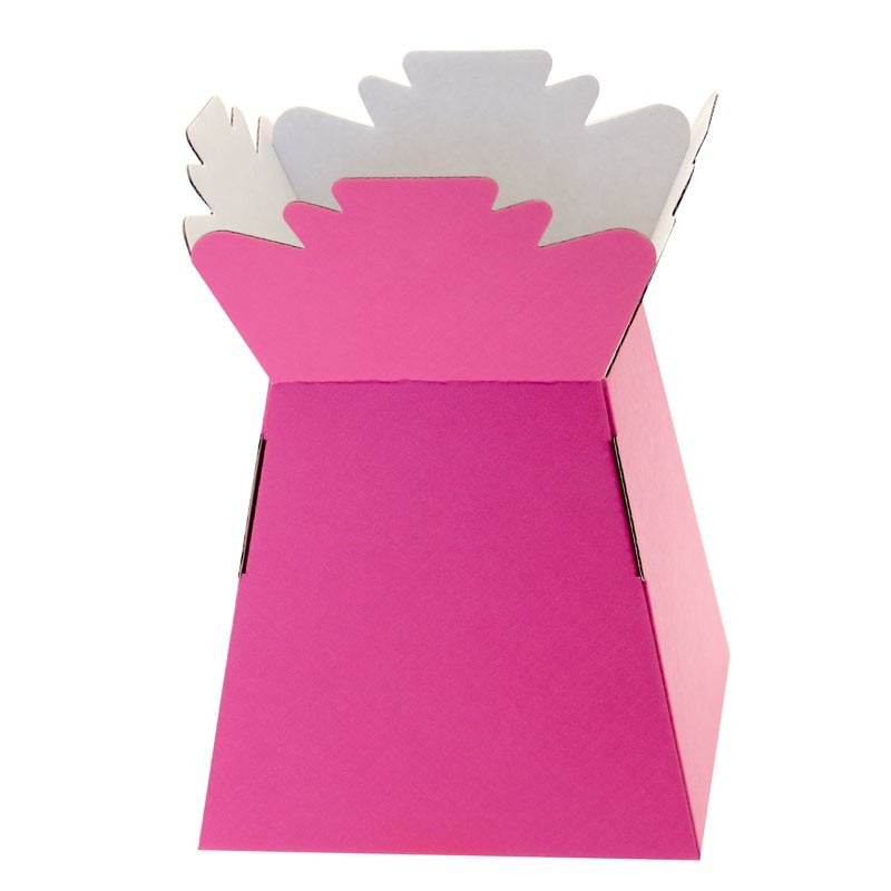 View Hot Pink Living Vases information