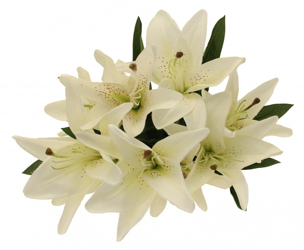 View White Lily Bunch information