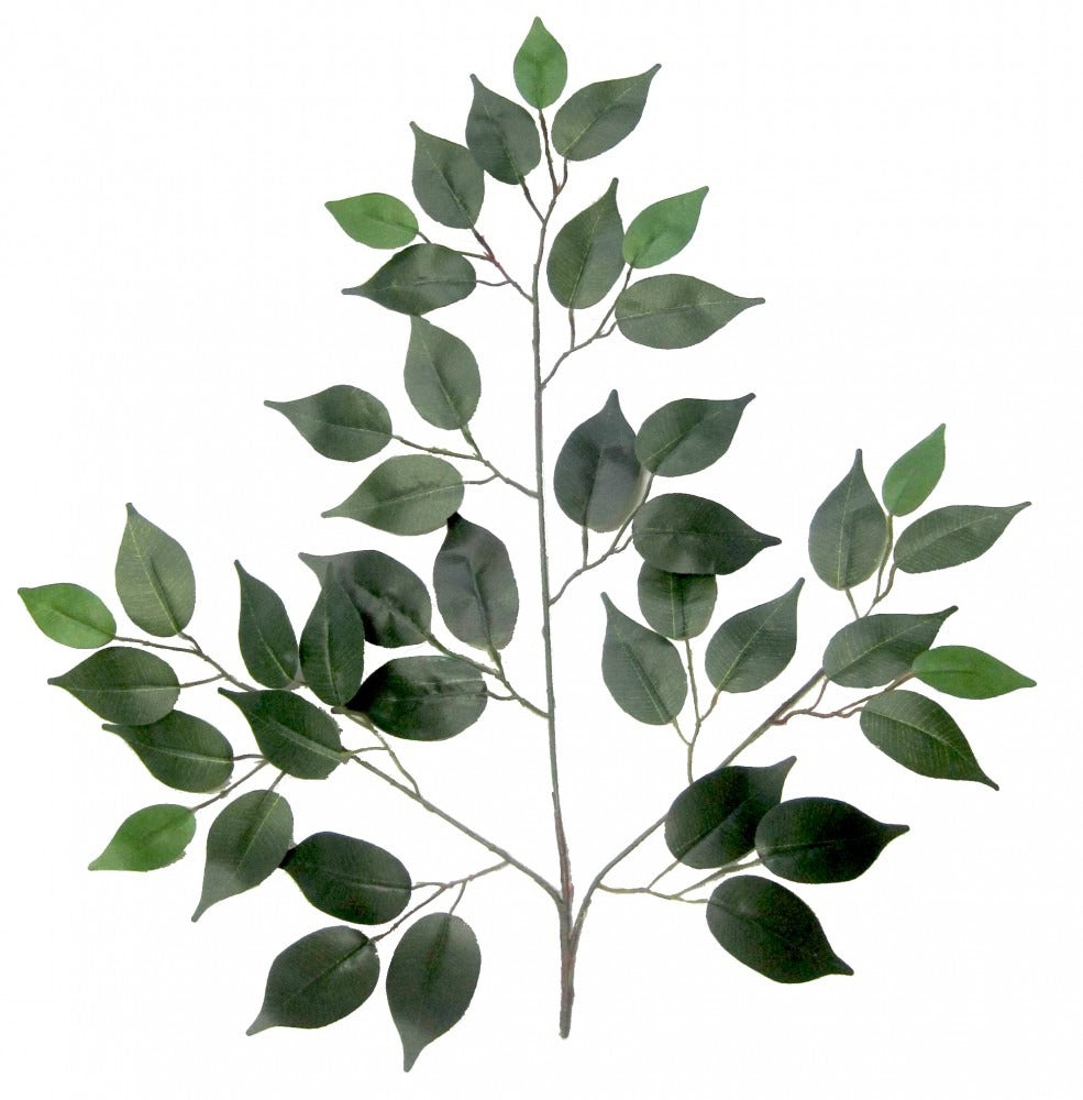 View 50cm Green Ficus Branch information