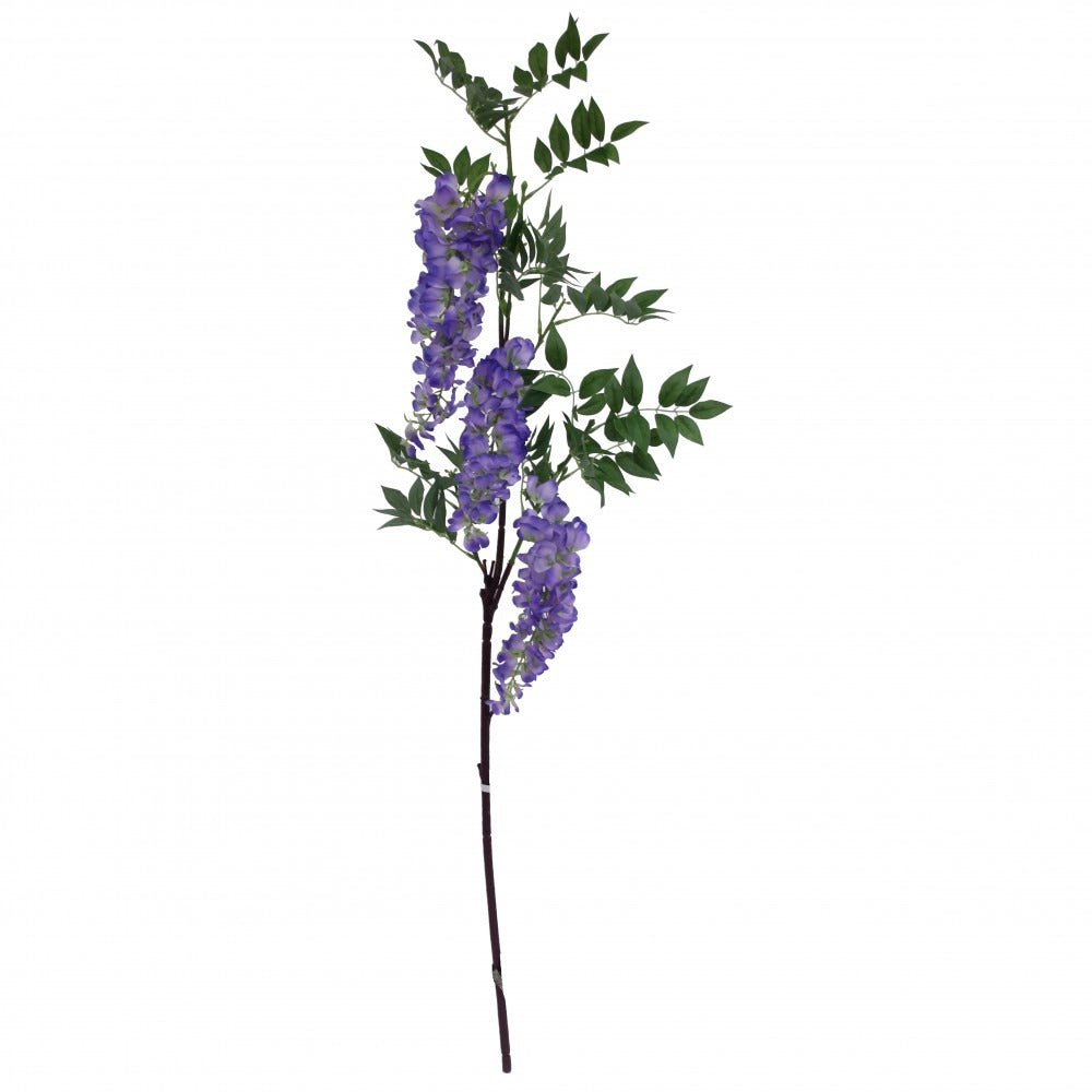 View Violet Wisteria Branch information