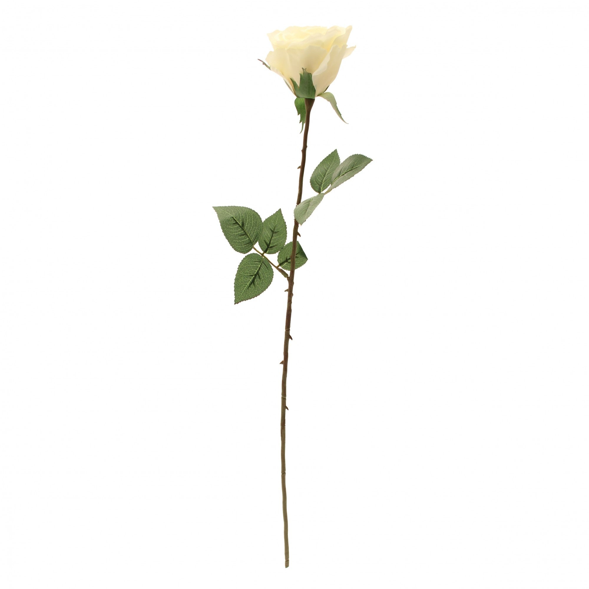 View Kaia Rose Stem in Cream information