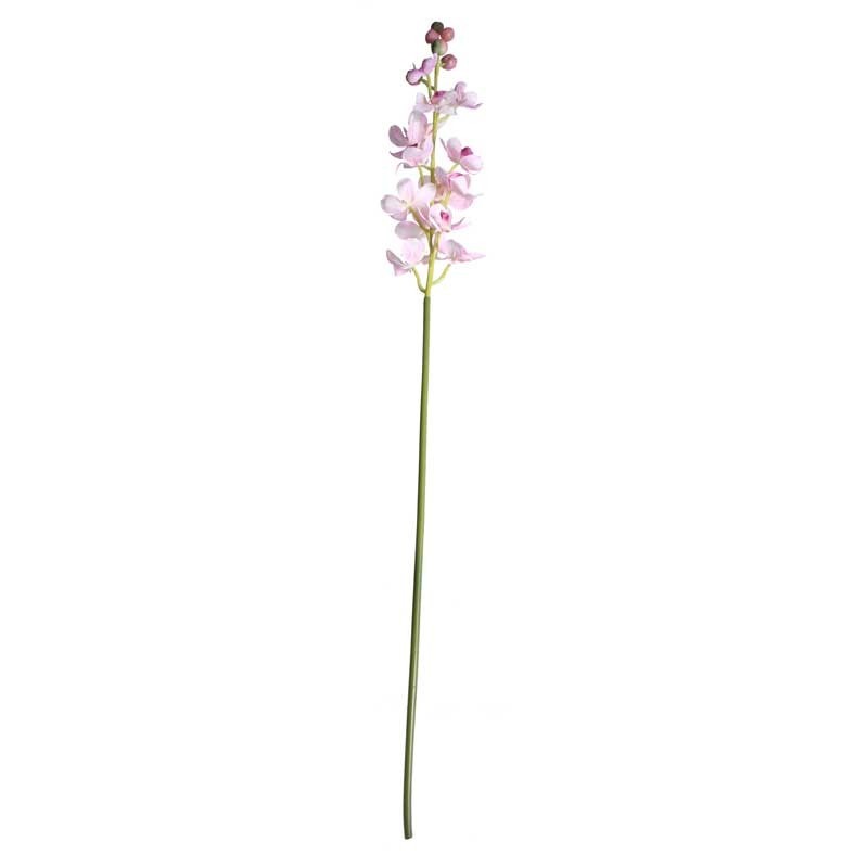 View Dainty Orchid Blush Pink information