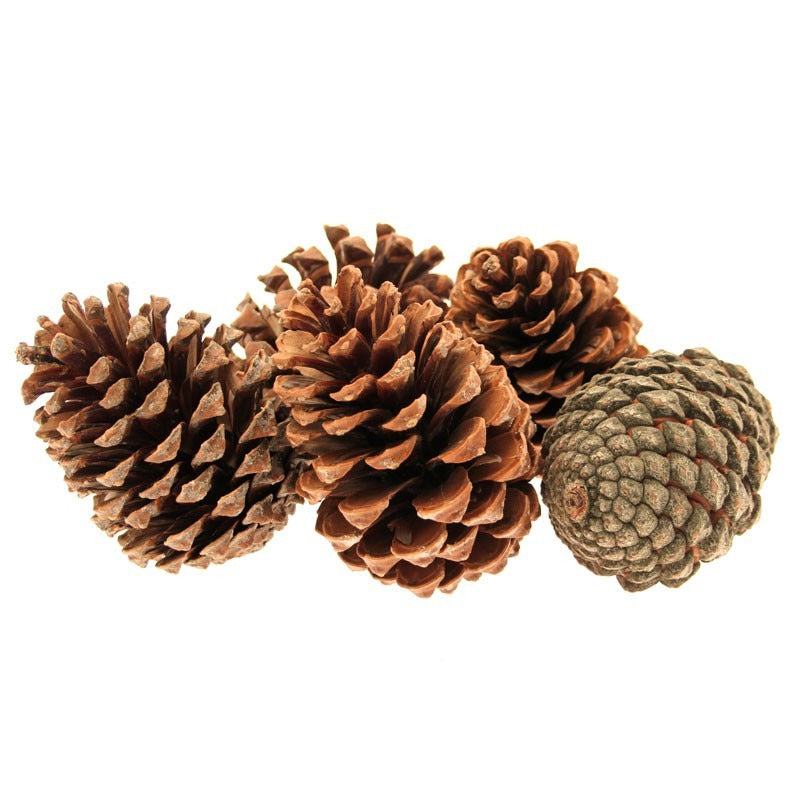 View Maritima Pine Cones 510cm Pack of 25 information