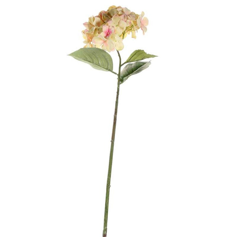 View 68cm Single Large Hydrangea Cream Blush information