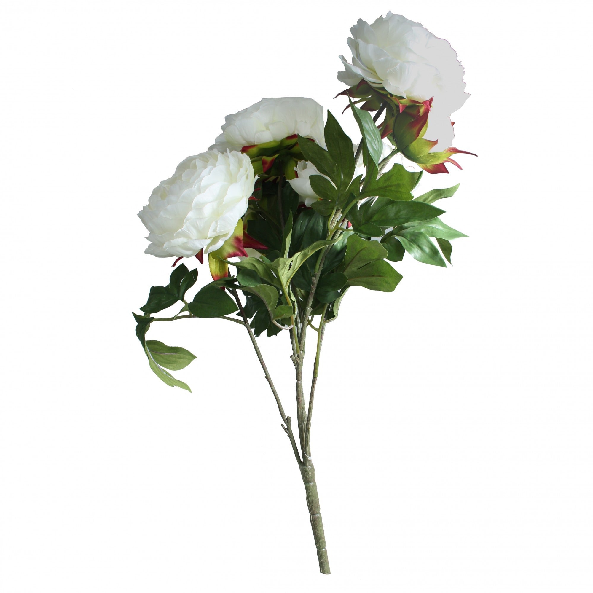 View Cream Peony Bunch information