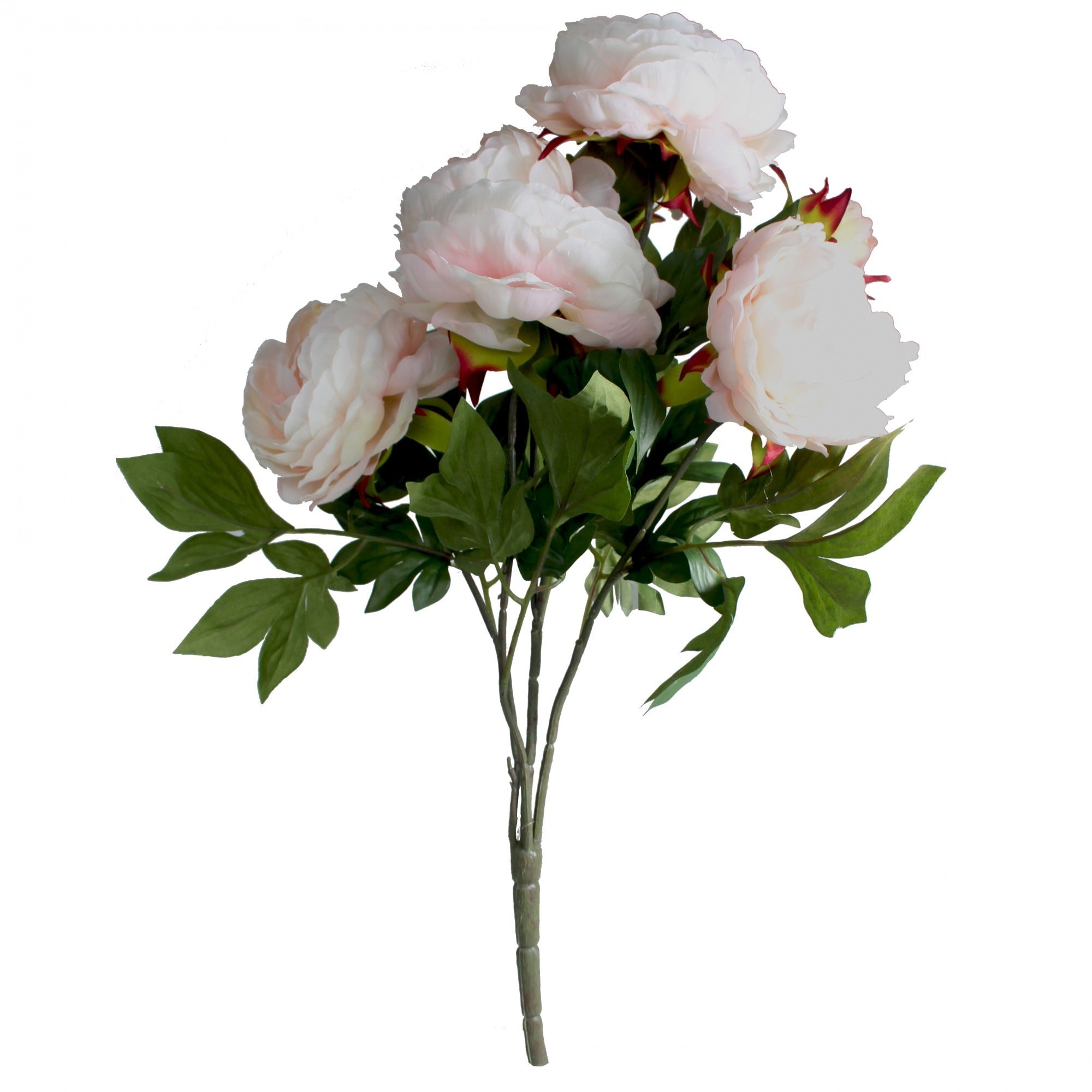 View Pink and Cream Peony Bunch information