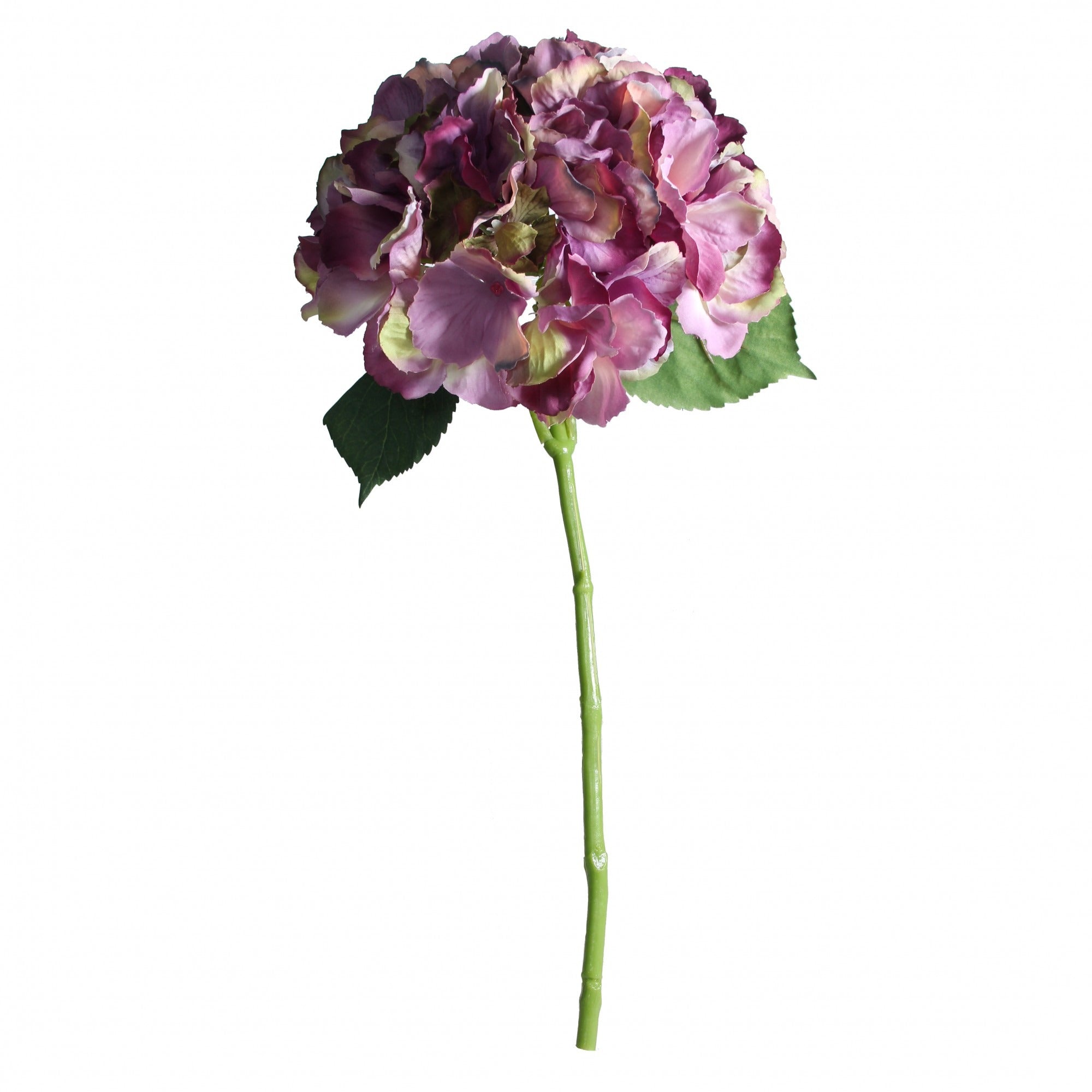 View Antique Purple Short Stem Hydrangea information