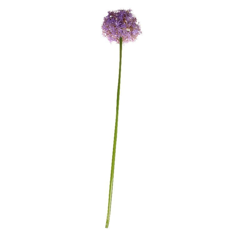 View 76cm Single Allium Lavender information