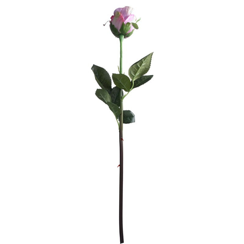 View Small Rose Bud Lavender information