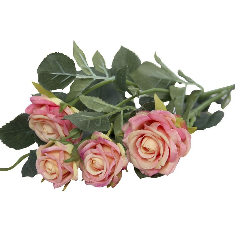 View Camelot Garden Rose Spray Peach information