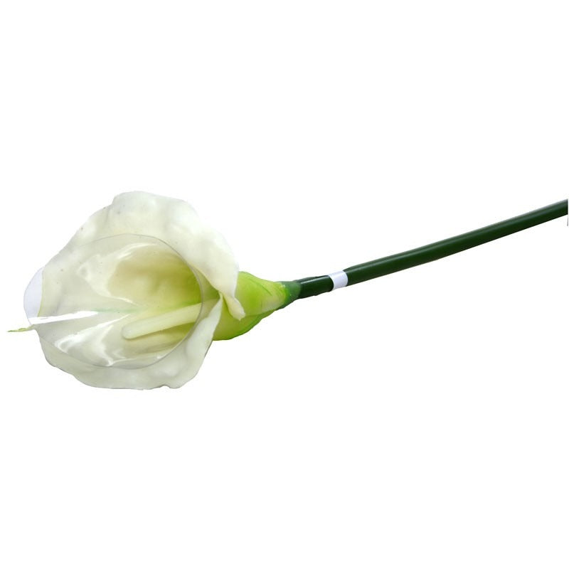 View Medium Calla Lily Cream Green information