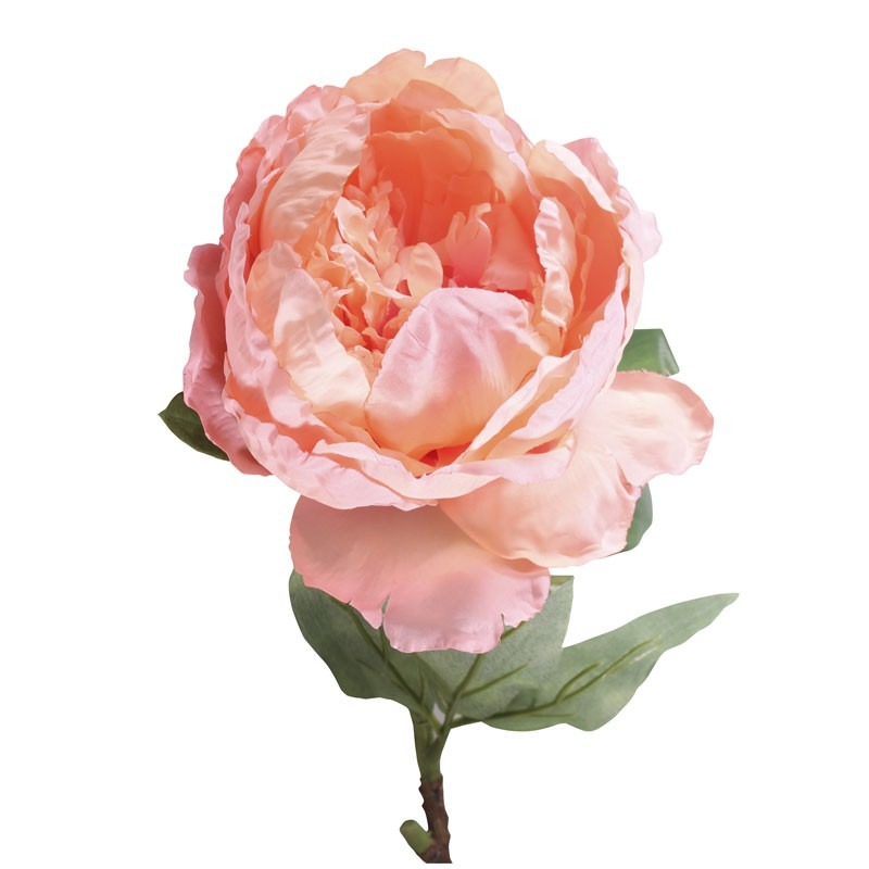 View 71cm Single Peony Peach information