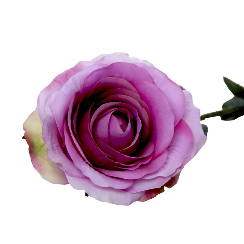 View Small Camelot Open Rose Lavender information