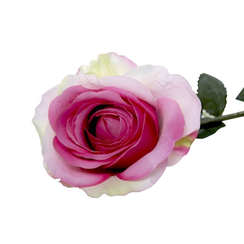 View Small Camelot Open Rose Blush Pink information