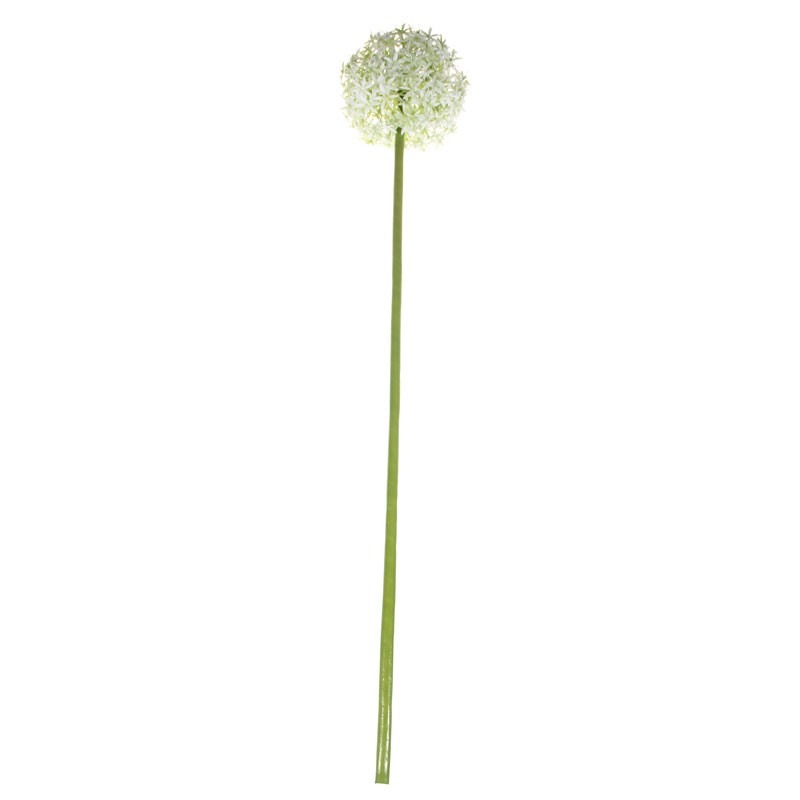 View 76cm Single Allium Cream White information