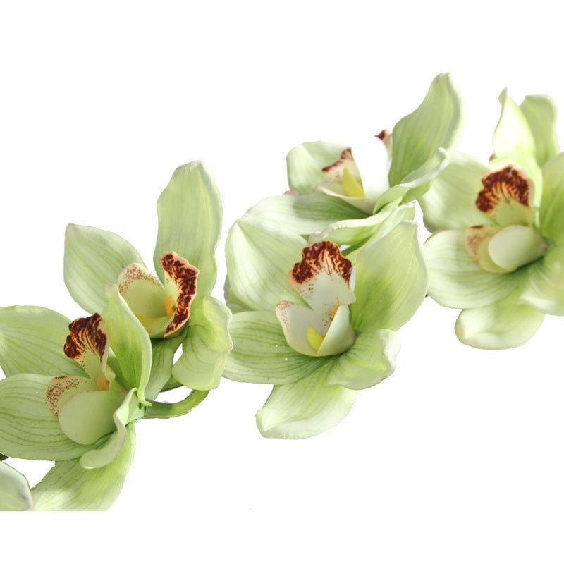 View 36inch Real Touch Large Cymbidium Green information