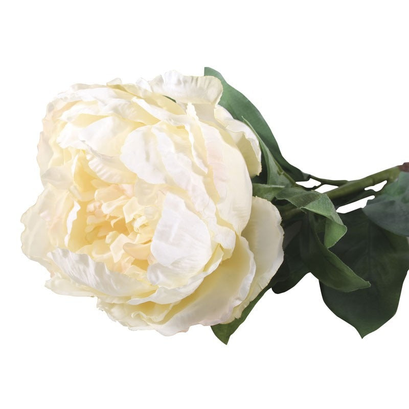 View 71cm Single Peony Cream information