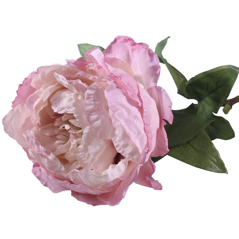 View 71cm Single Peony Pink information