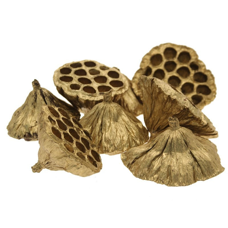 View Gold Large Lotus Heads x50 812cm information