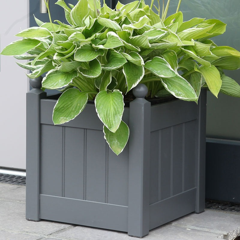 View AFK Large Classic Painted Planter Charcoal information