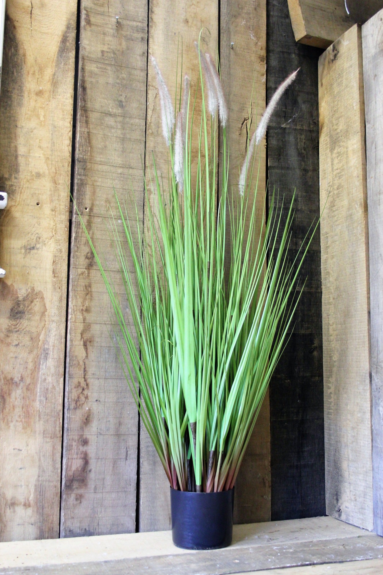 View PVC Grass Plant With CatTails 124cm information