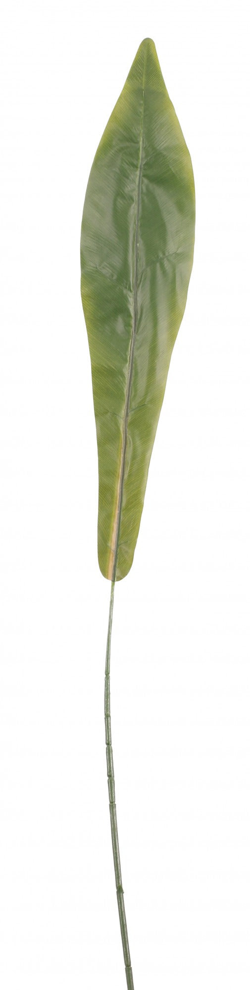 View Single Plastic Birds Nest Fern Leaf 28 inch information