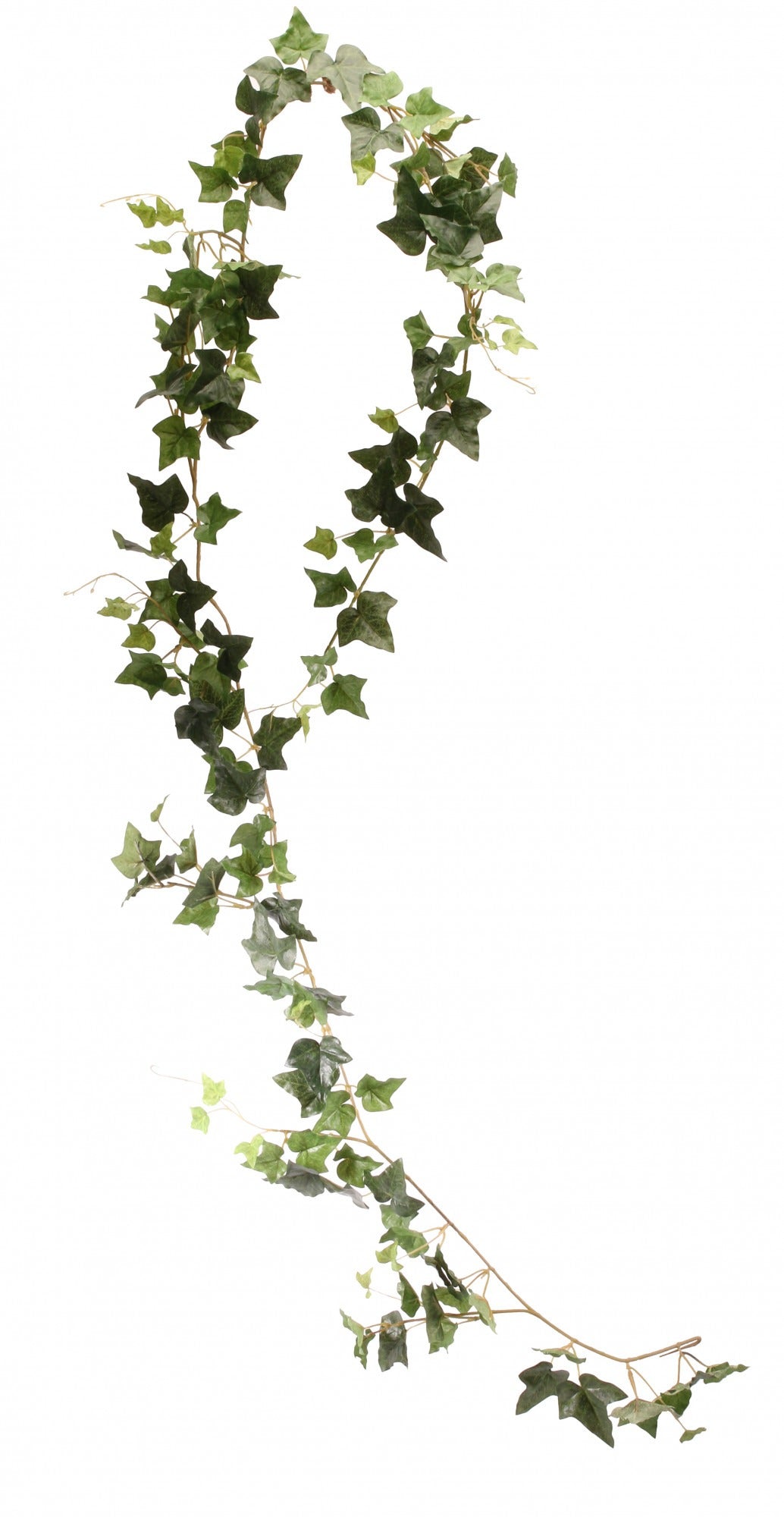 View Irish Ivy Garland 6ft information