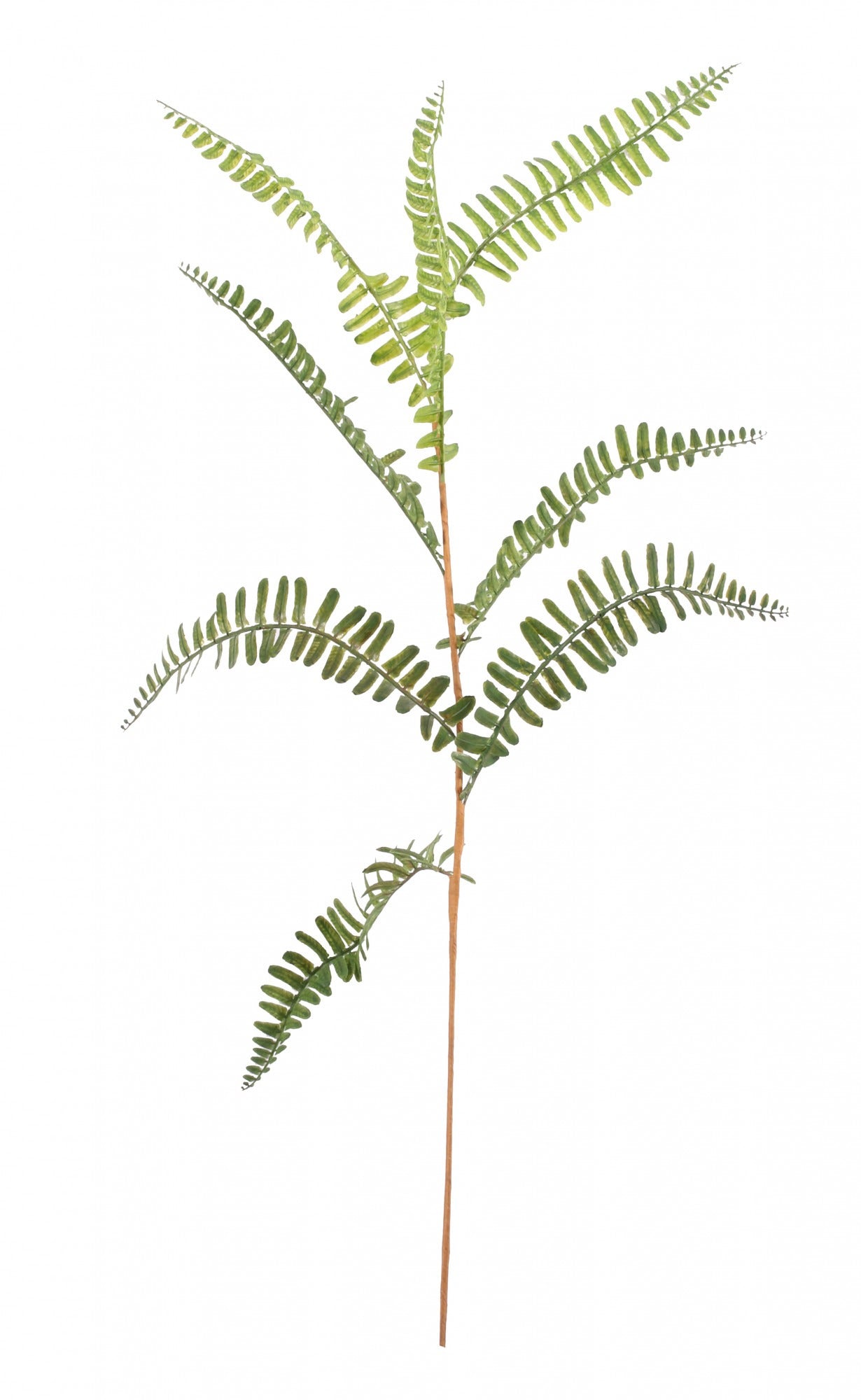 View Mini Fern Spray 70cm information