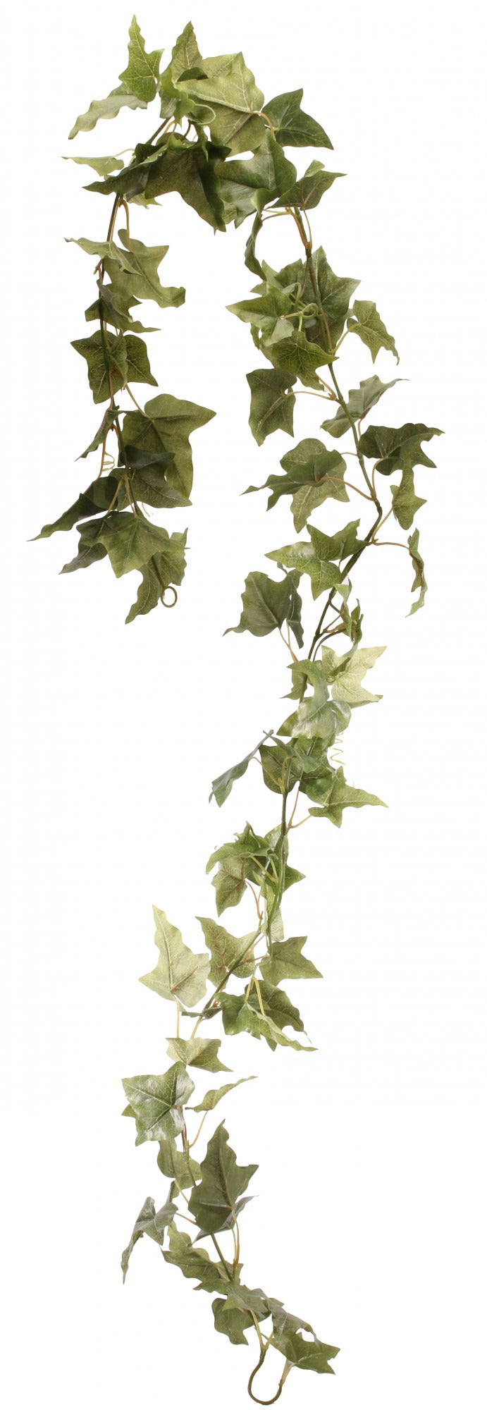 View English Ivy Garland 6ft information