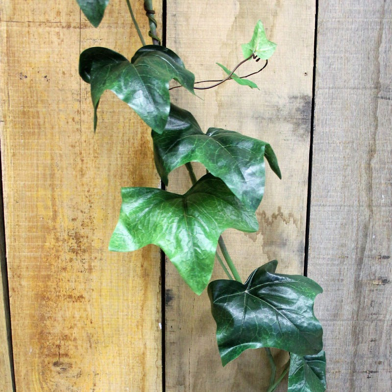 View 6ft English Ivy Garland information