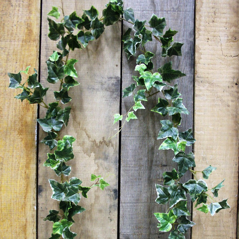 View 6ft Irish Ivy Garland Green Variegated information