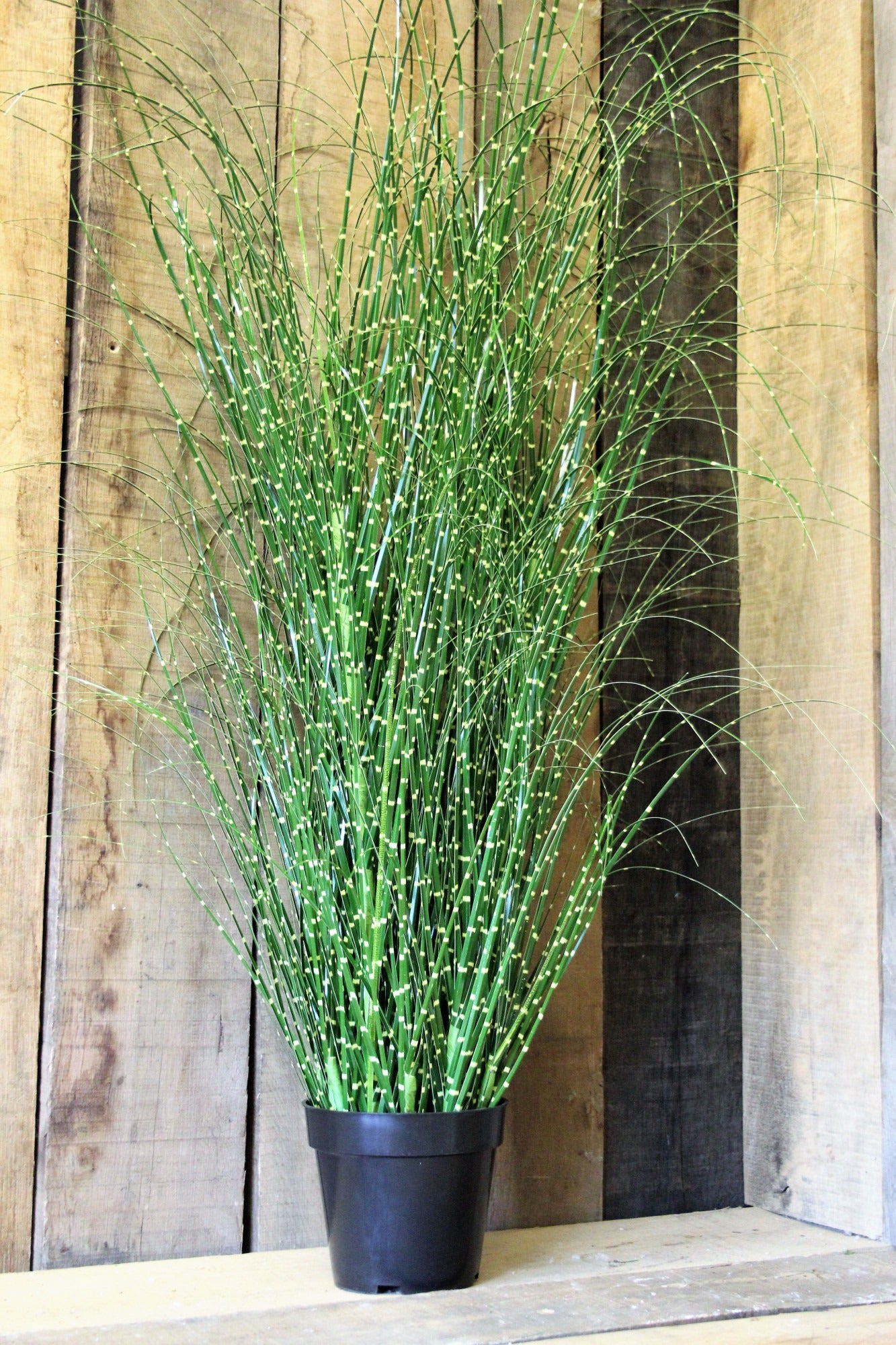 View PVC Grass with detail 155cm information