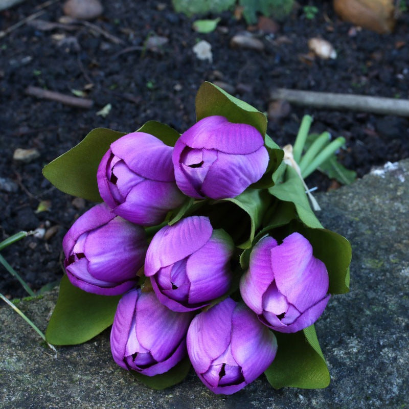 View Tulip Bunch Purple information
