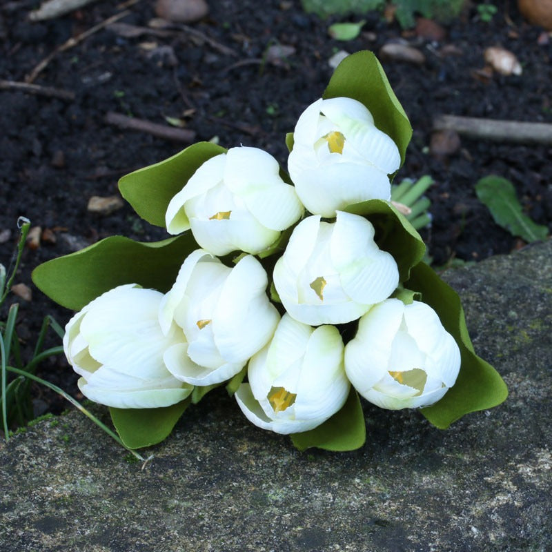 View Tulip Bunch White information