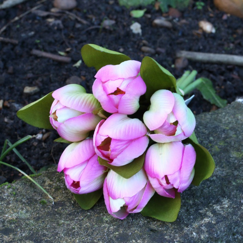 View Tulip Bunch Fuschia information