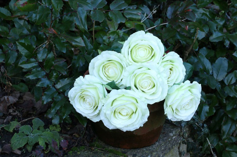 View Rose Bunch Green information