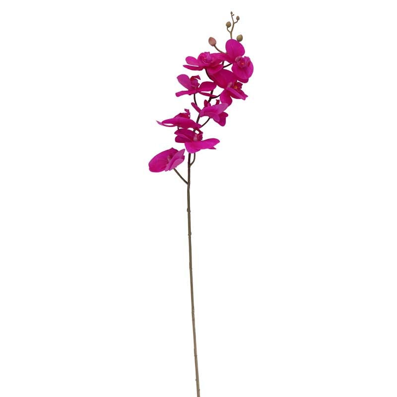 View Cerise Pink Phalaenopsis Spray 345 inch information