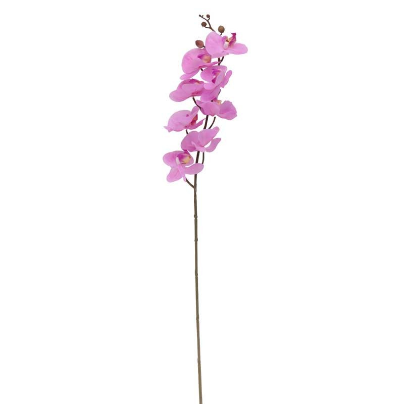 View Pink Phalaenopsis Spray 345 inch information