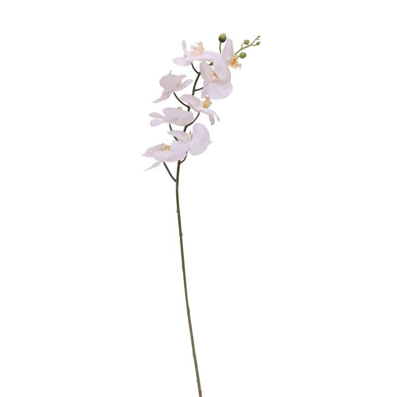 View White Phalaenopsis Spray 345 inch information