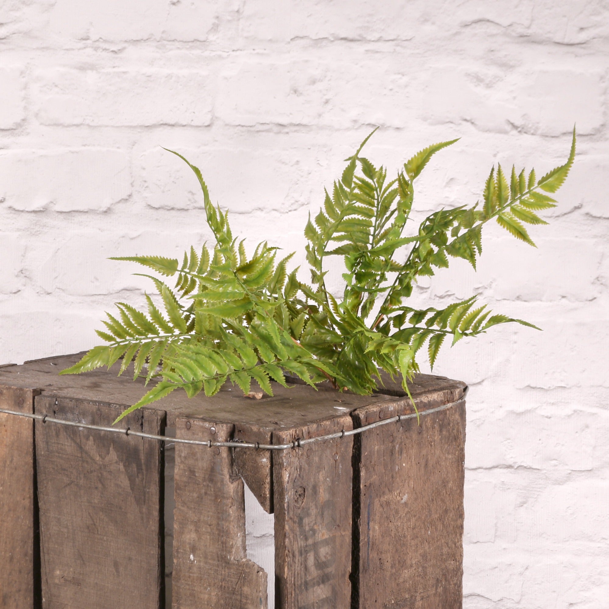 View Plastic Leather Fern 48cm information