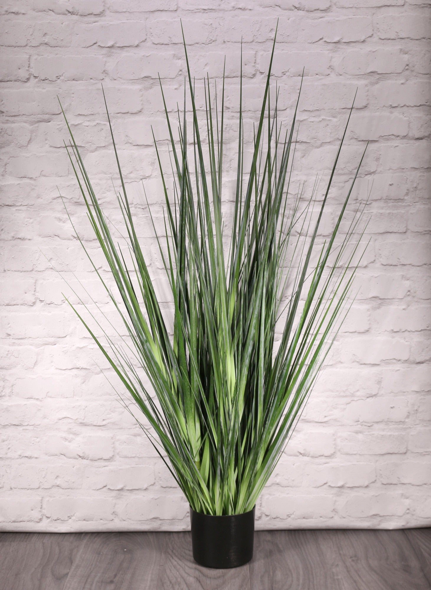 View Potted Flat Grass 122cm information