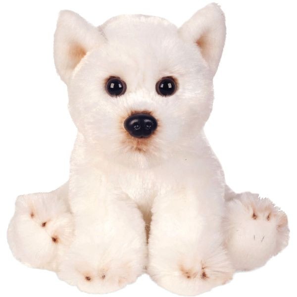 View Yomiko Sitting West Highland Terrier Dog information