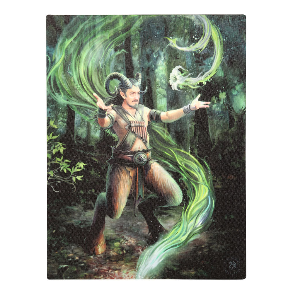 View 19x25cm Earth Element Wizard Canvas Plaque by Anne Stokes information